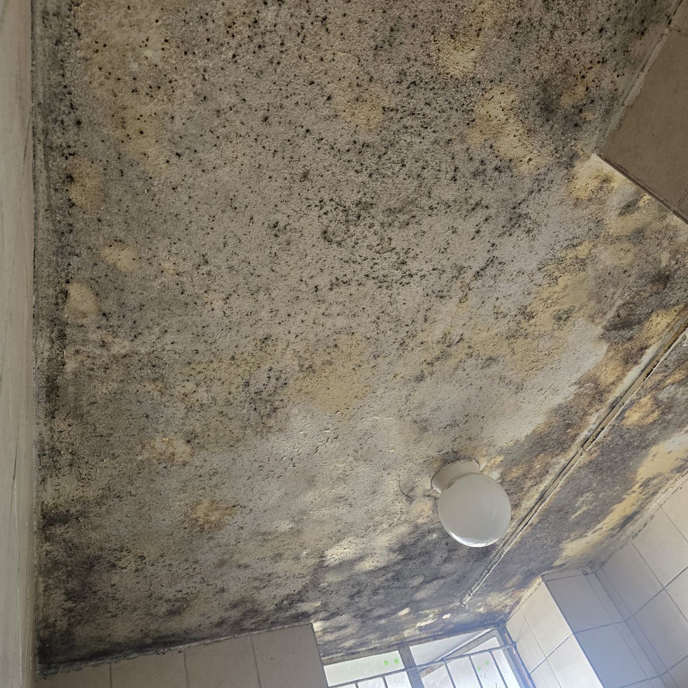 Bathroom ceiling with heavy mould and damp staining